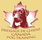 Canada Dog Training